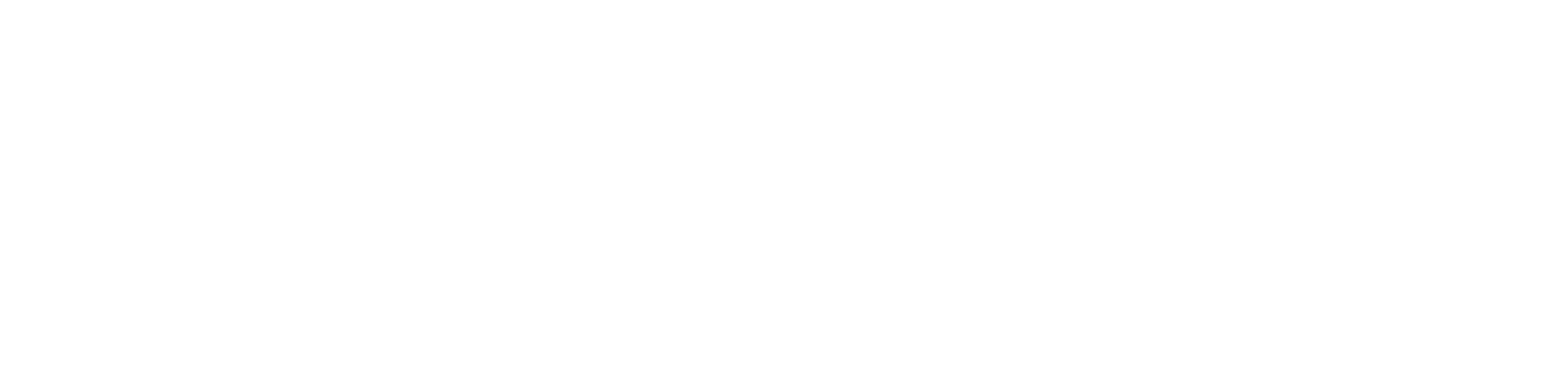 10 Anos Mega Forte – Orby Marketing 360º